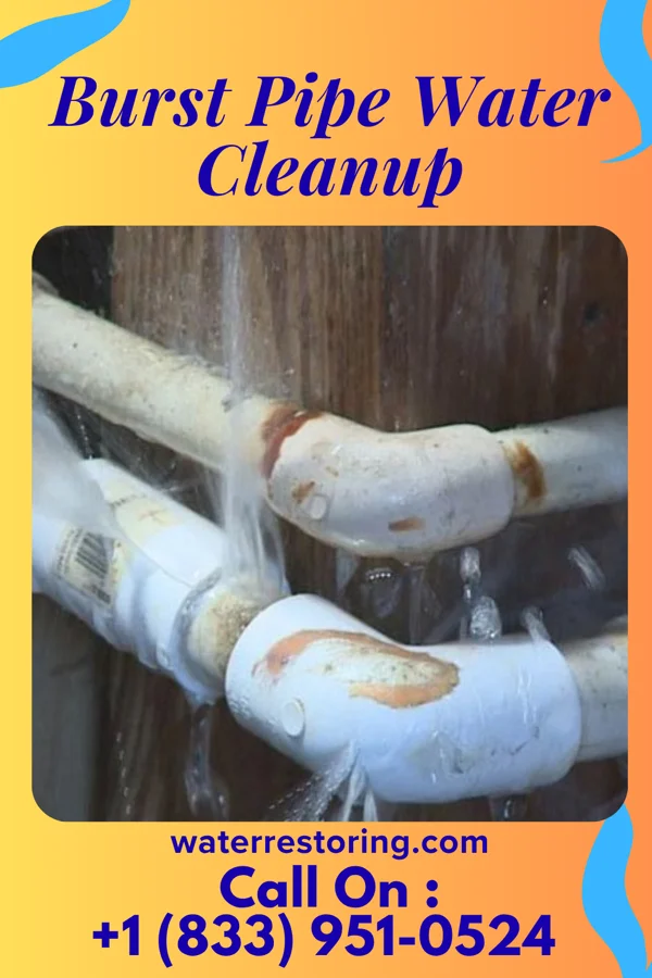 Burst Pipe Water Cleanup in Elk Creek, NE