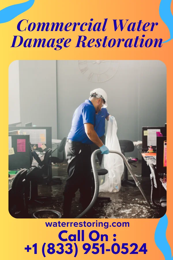 Commercial Water Damage Restoration in Elk Creek, NE